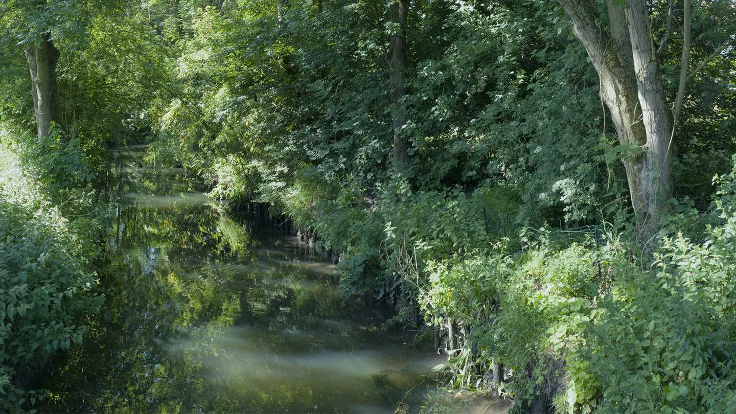  la Marque 2015 - Chéreng Anstaing 