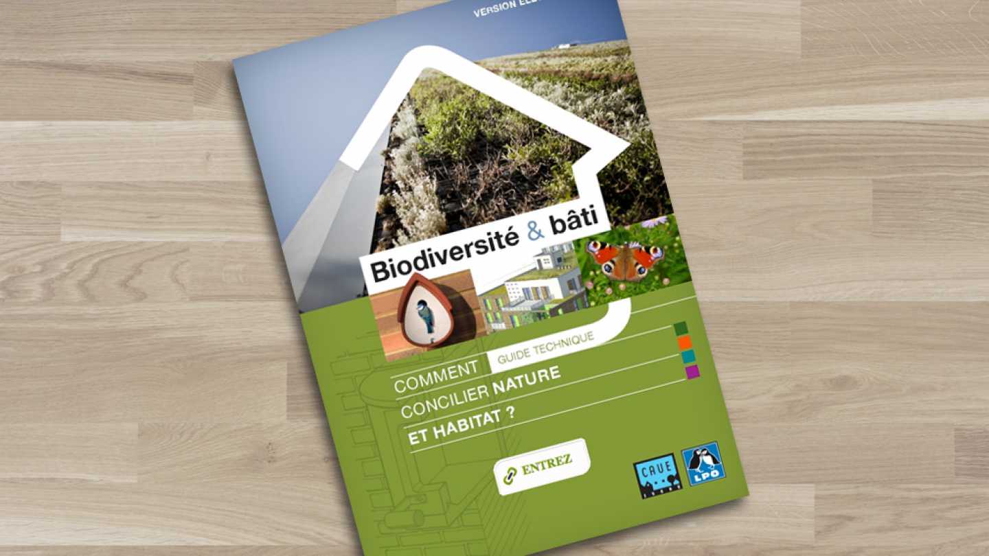Guide technique Biodiversité et bâti