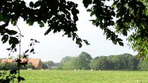 Habiter dans le bocage à Louvroil