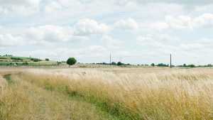 Évènement : &quot;La Marque, une rivière face aux défis du 21ième siècle&quot; de mai à octobre 2016