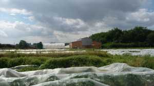 Agriculture et paysages, réseau d’échanges entre ville et campagne