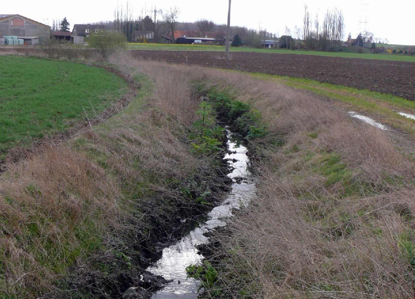 SGN - A la recherche d&#039;un cours d&#039;eau en perdition: &quot;Le RU des Voyettes&quot;