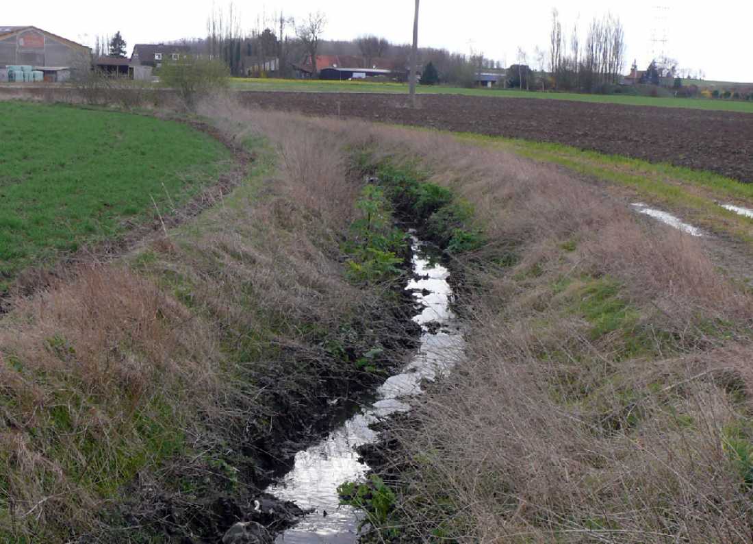 SGN - A la recherche d&#039;un cours d&#039;eau en perdition: &quot;Le RU des Voyettes&quot;